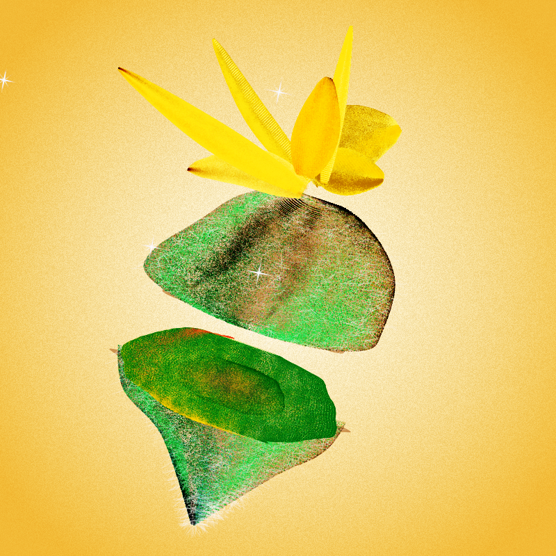 Fresh Fruit #18 static token preview