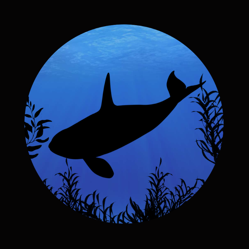 Whale #5 static token preview