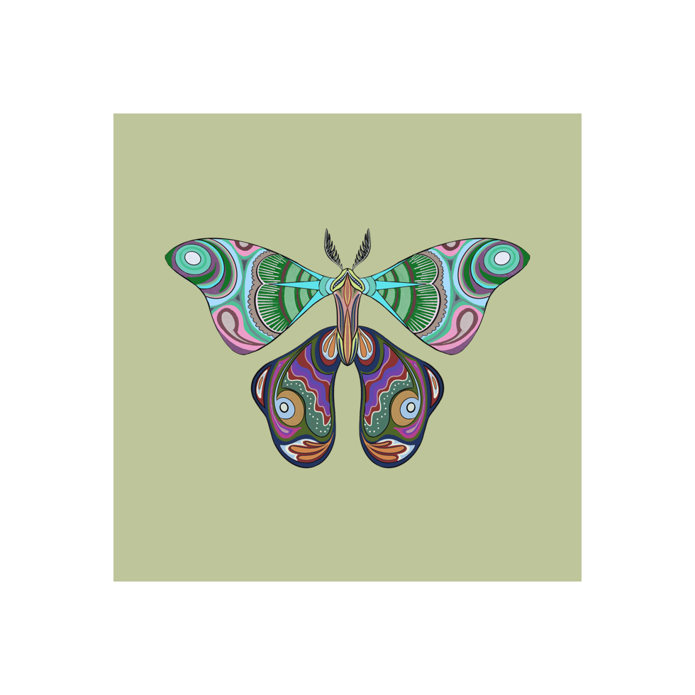 The Moth Experiment #9 static token preview