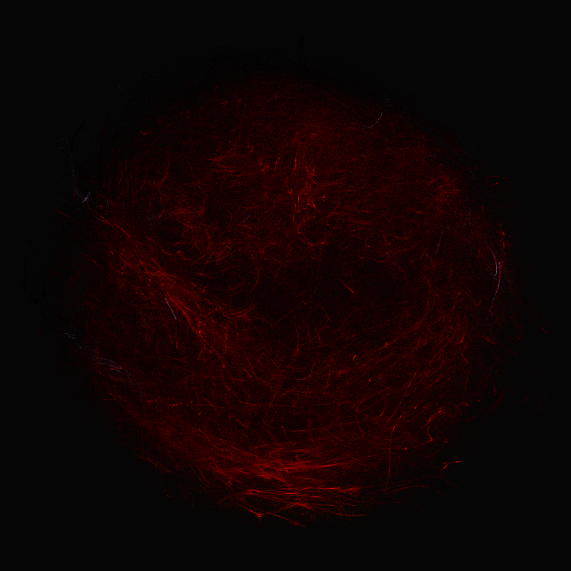 balls in vector fields #7 static token preview