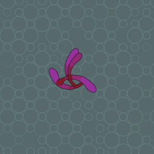 Swimbot project preview
