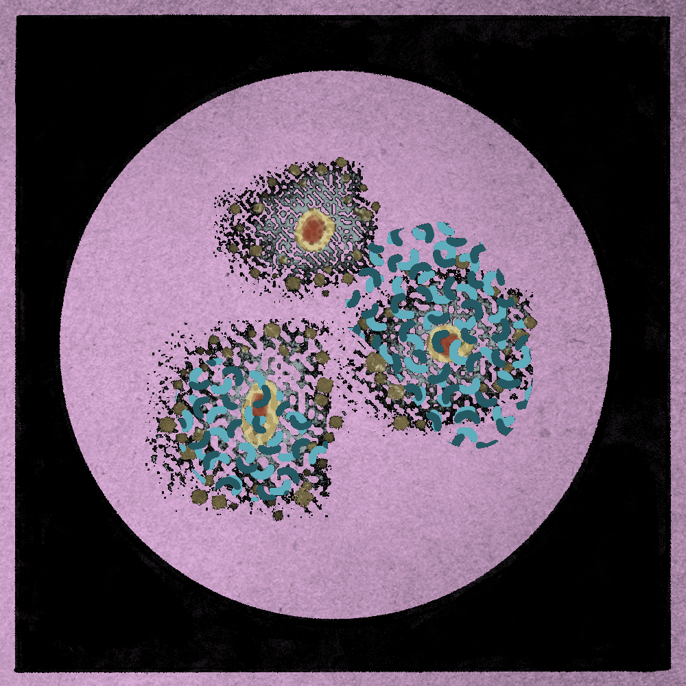 Microbes #15 static token preview