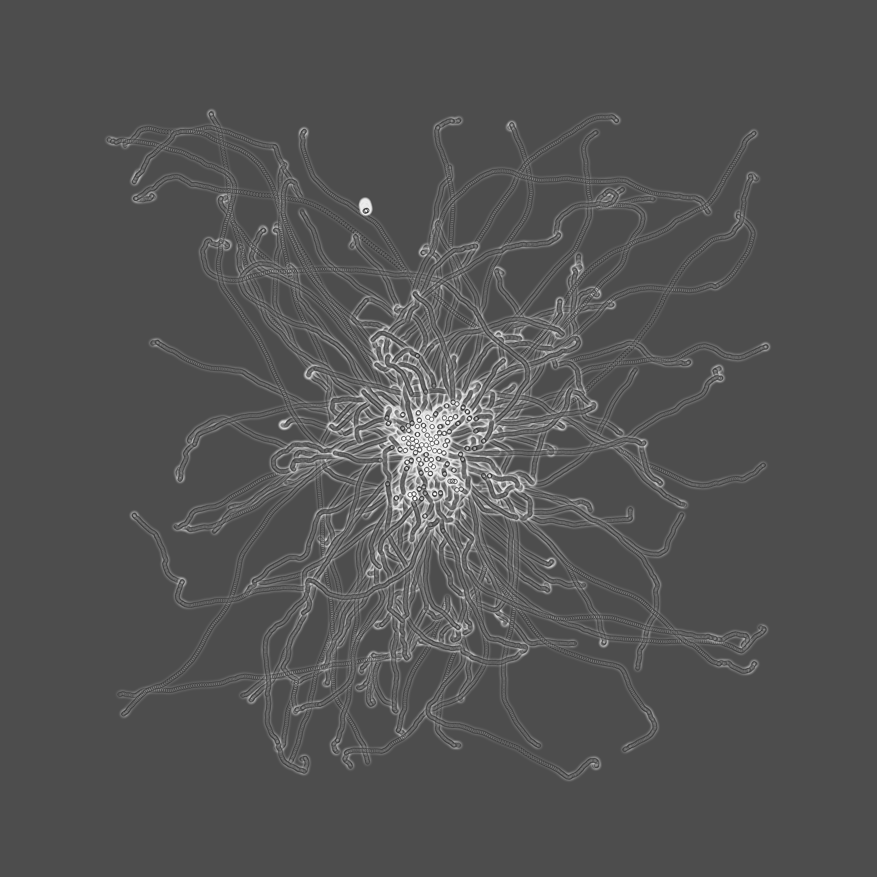 grey fungi wisdom #8 static token preview