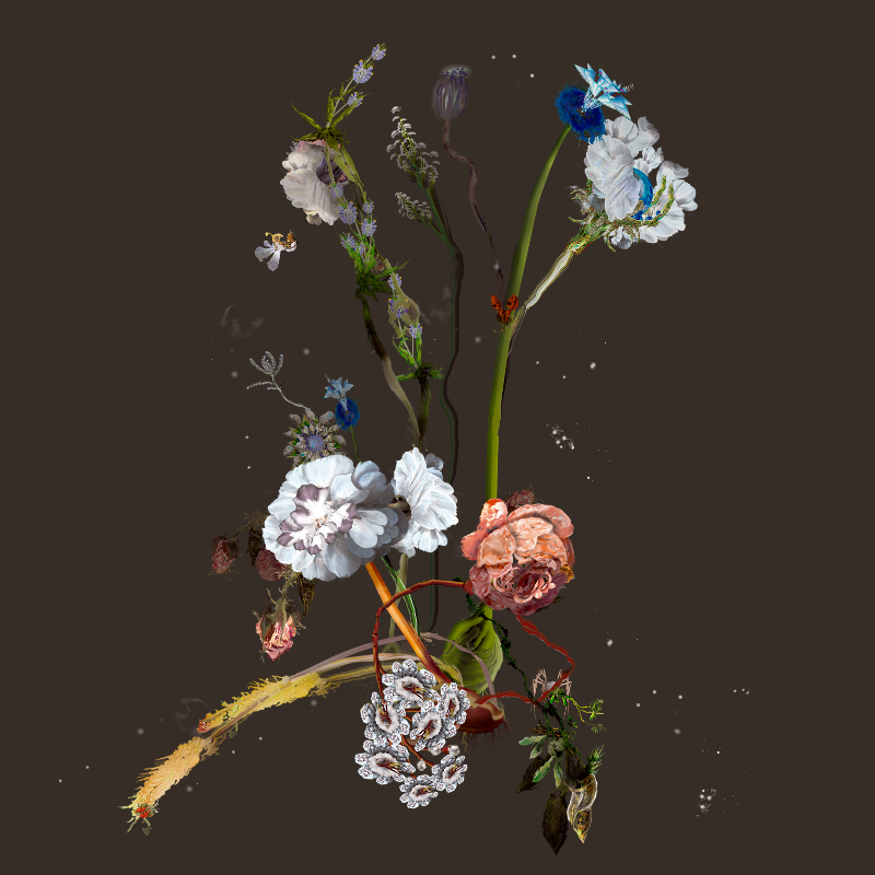 Generative Still Life: Still Life 17.0 #8 static token preview