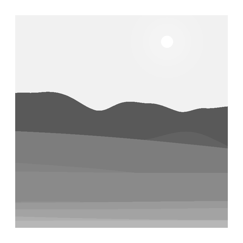 Passenger #4 static token preview
