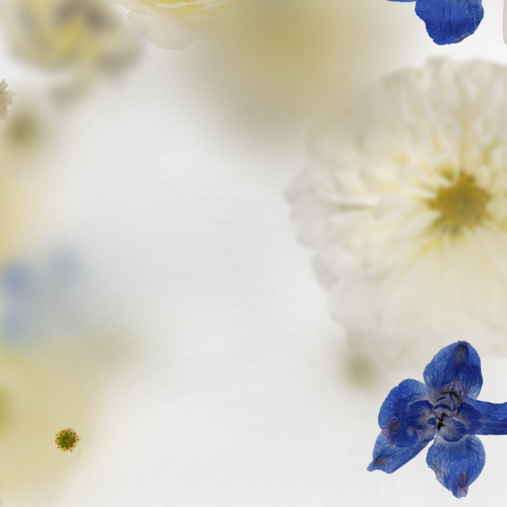 Broken Flowers #5 static token preview