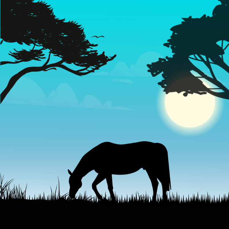 We Care...Horse #5 static token preview