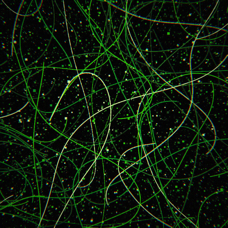 Neon Curves #16 static token preview