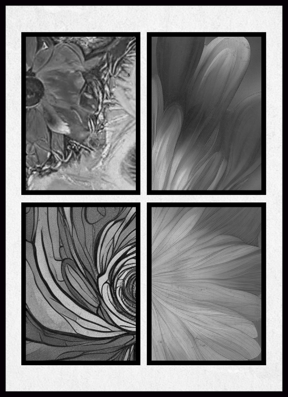 B & W #4 static token preview