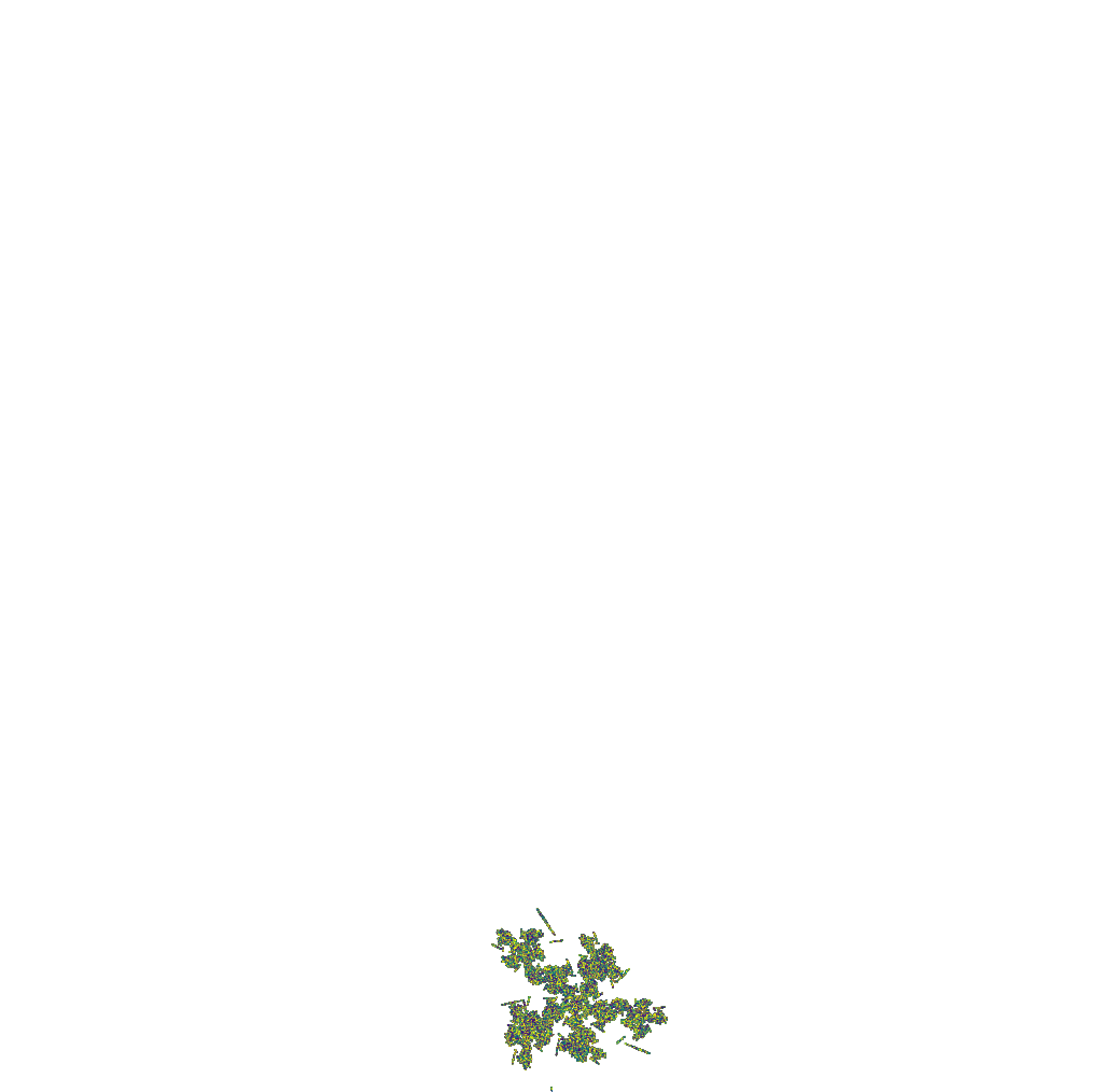 Fern Blooming #4 static token preview
