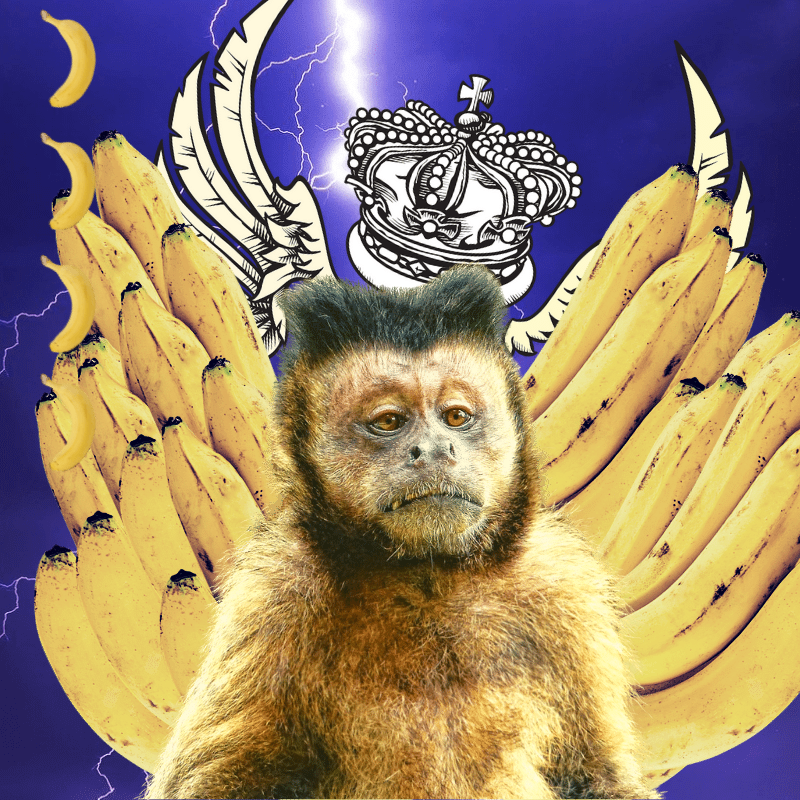 Banana gods #11 static token preview