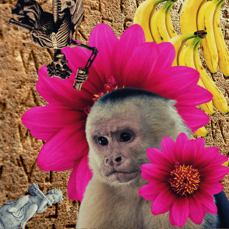Banana flower #6 static token preview