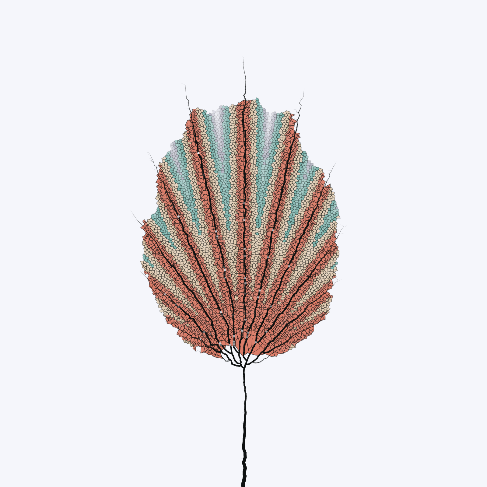 Leaf study #23 static token preview