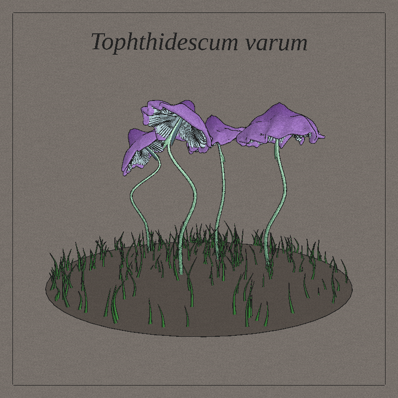 SHROOMS 3D #20 static token preview