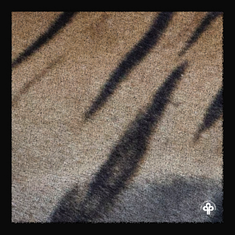 (re)generative tigers #18 static token preview
