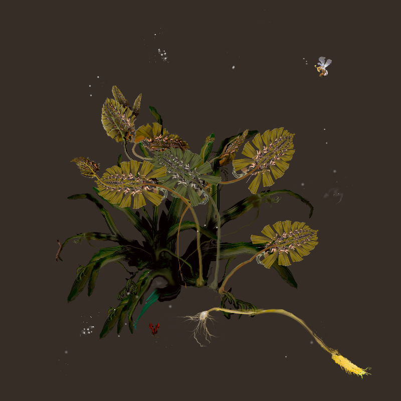 Generative Still Life: Still Life 17.0 #12 static token preview