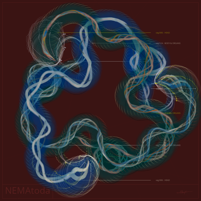 NEMA #96 static token preview