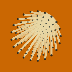 The Rings (SPOKES) project preview