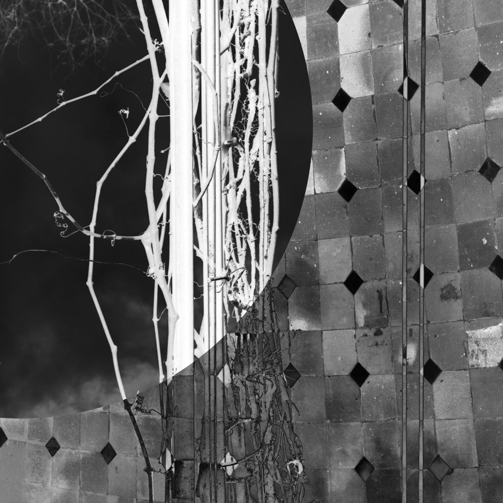 Subjective photography #1 #4 static token preview
