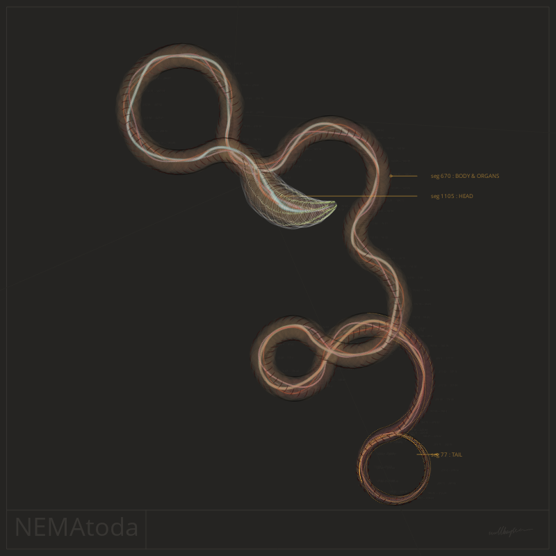 NEMA #2 static token preview