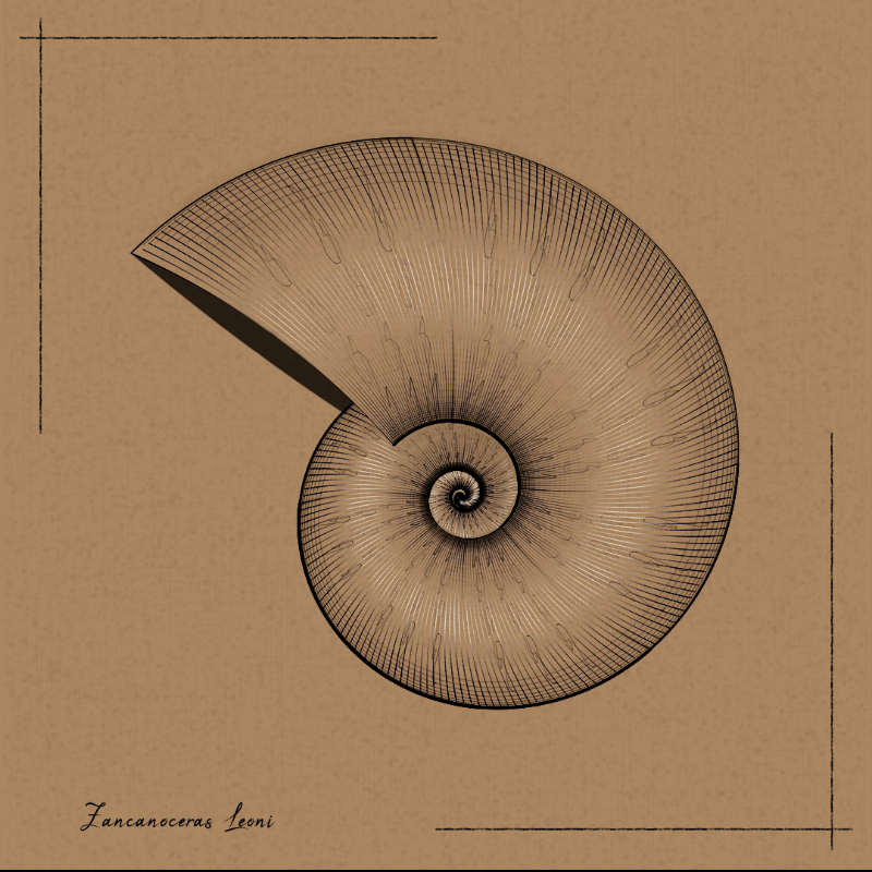 Ammonites #23 static token preview