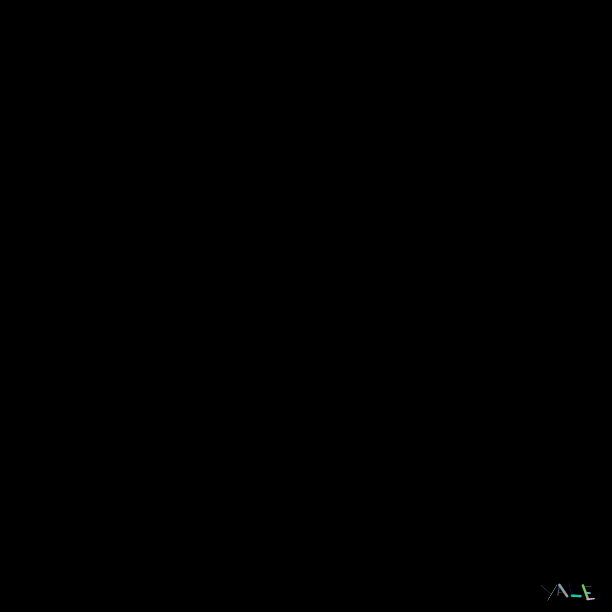 Black #16 static token preview