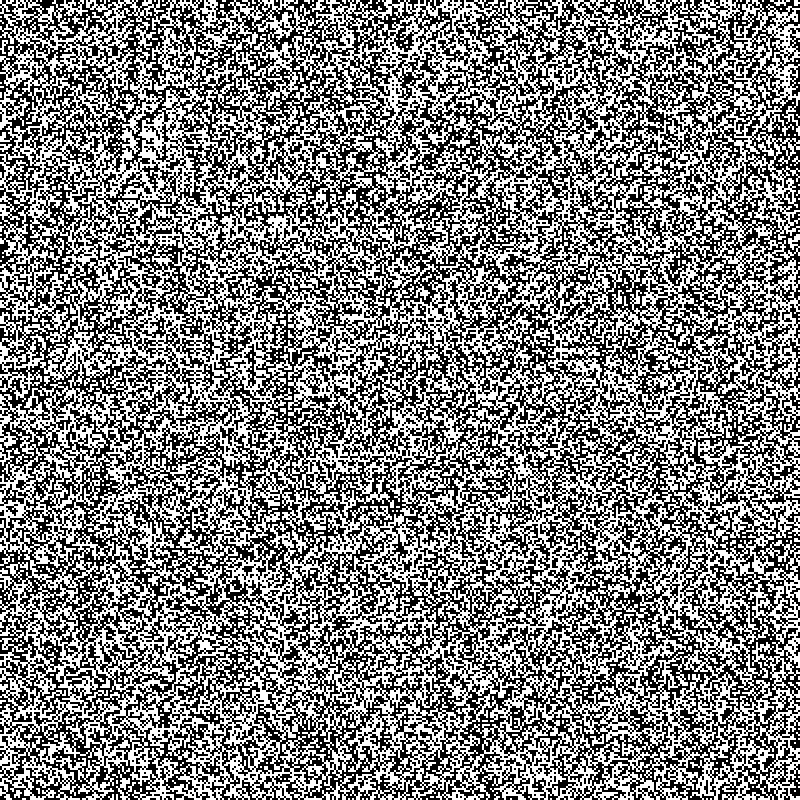 no noise #1 #19 static token preview