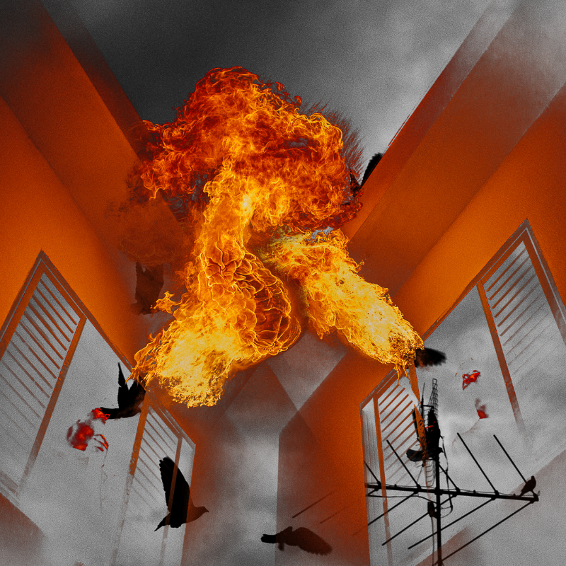 Free to burn #21 static token preview