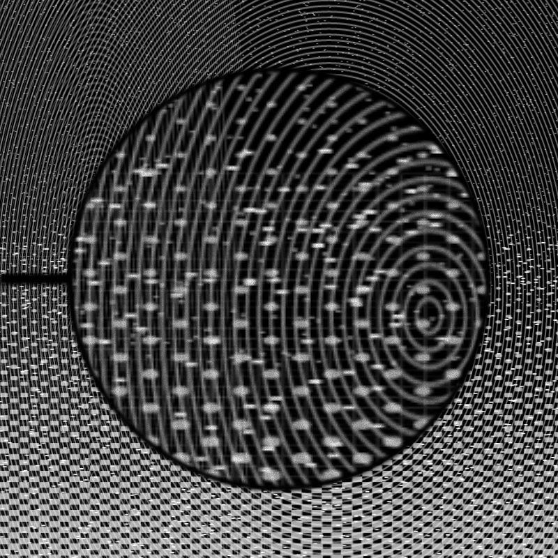 MICROSCOPY #13 static token preview