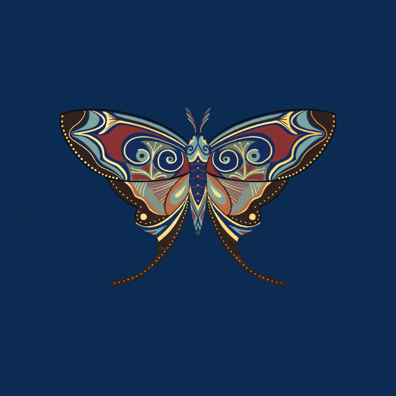 The Moth Experiment - Special Edition #2 static token preview