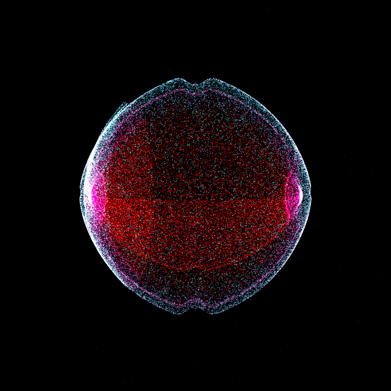 Into the Unknown #21 static token preview