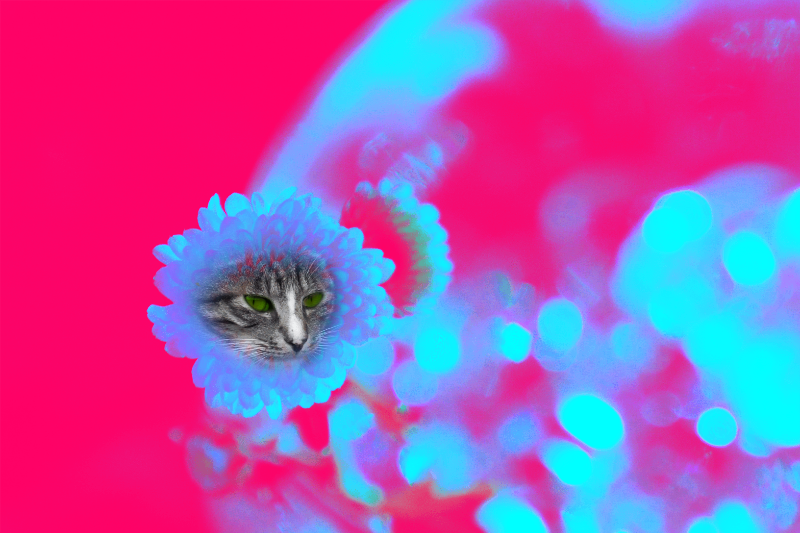 Flowering Cat #20 static token preview