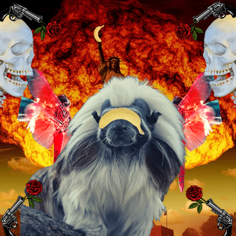 Blinded apes #1 static token preview