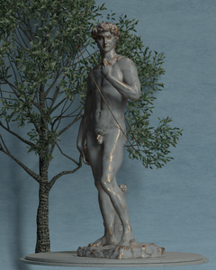 David project preview