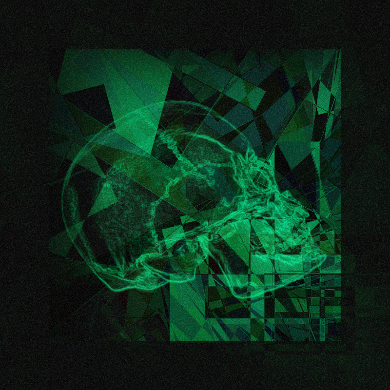 X-ray of a skull #4 static token preview