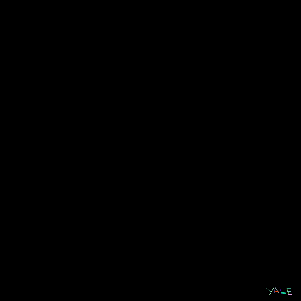 Black #13 static token preview