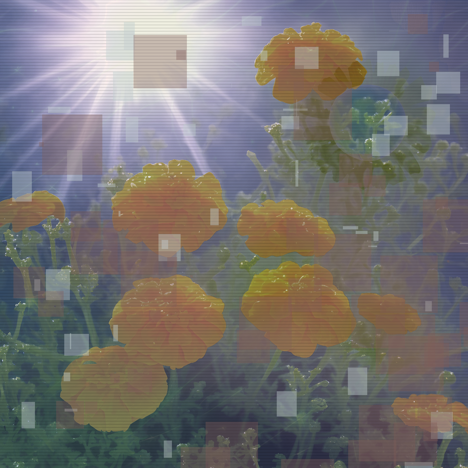 Marigolds #21 static token preview