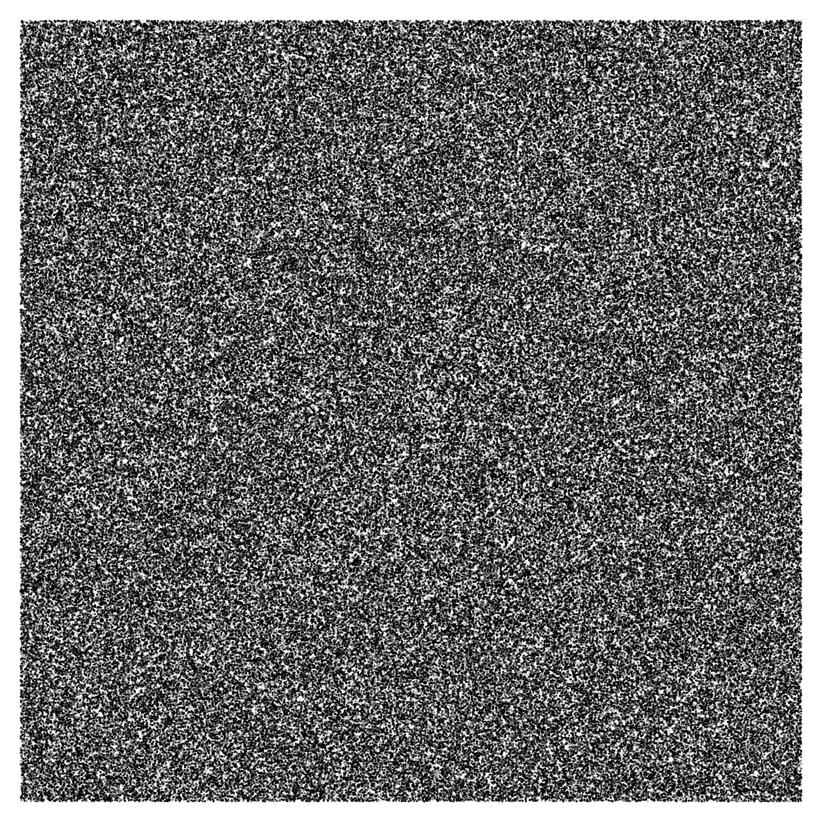 Noise #10 static token preview