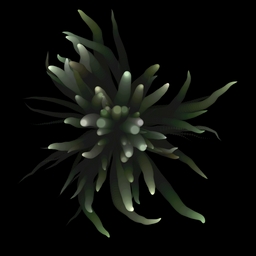 Spr0ut project preview