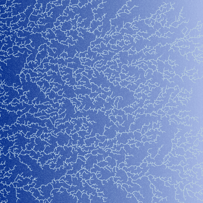 Frozen Windows #4 static token preview
