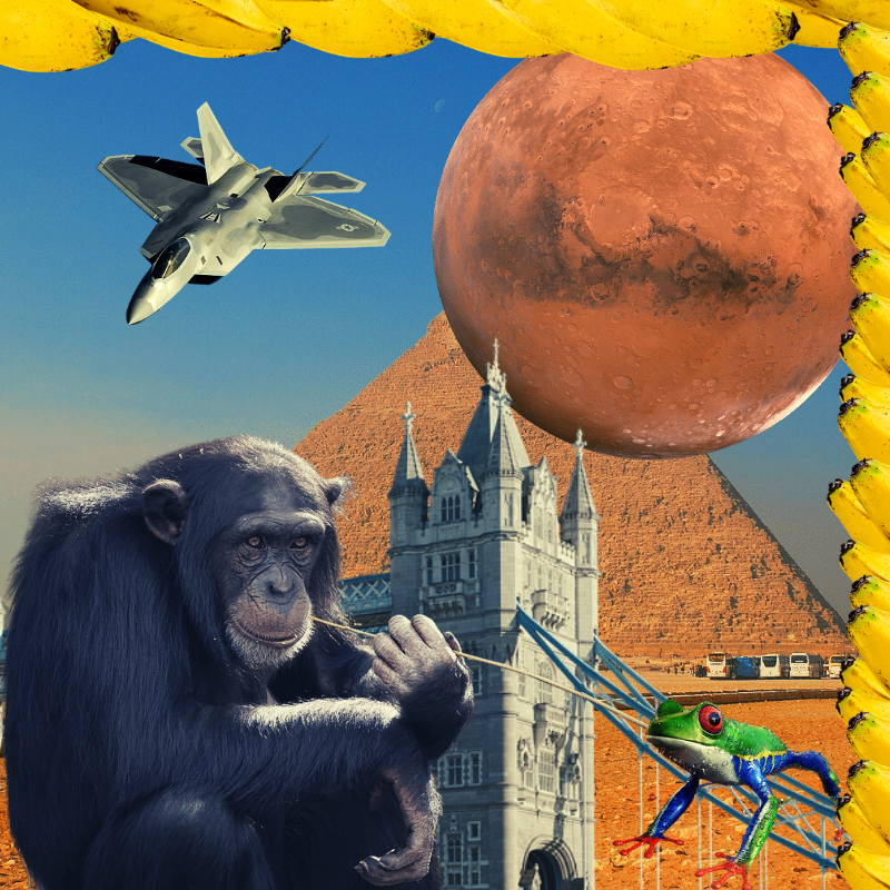 Banana & Pepe on mysterious trips #22 static token preview