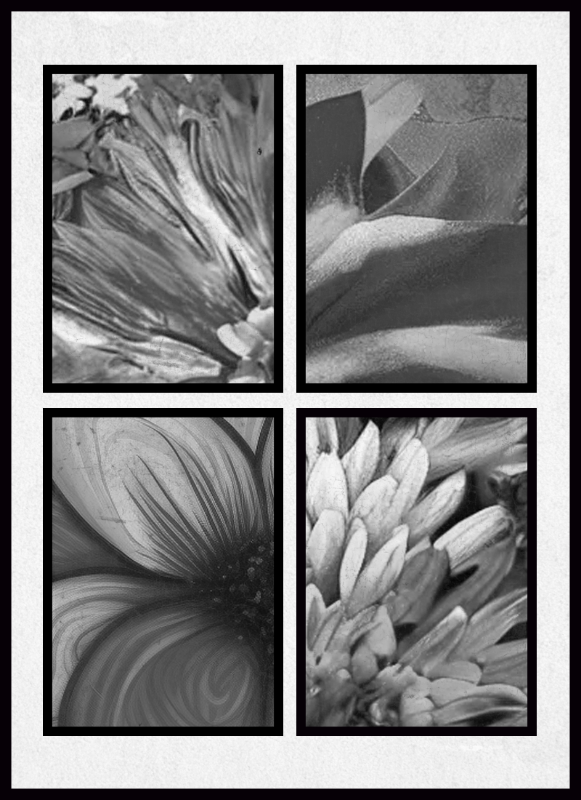 B & W #5 static token preview