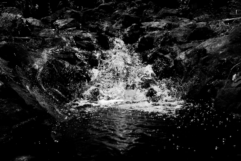 chasing waterfalls #11 static token preview