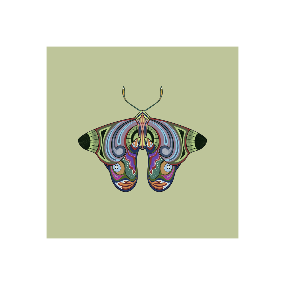 The Moth Experiment #13 static token preview