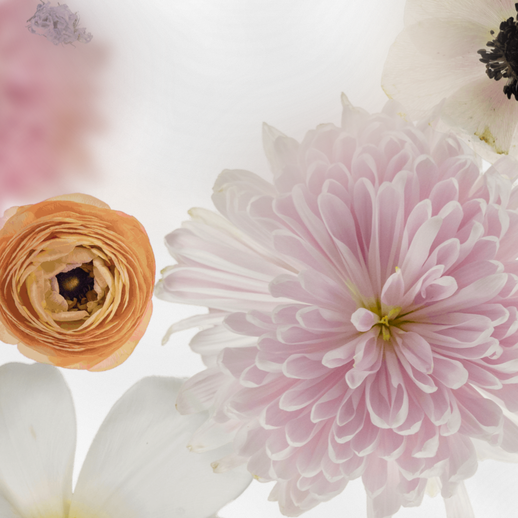 Broken Flowers #13 static token preview
