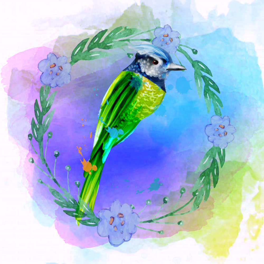 Random Colorful Birds #6 static token preview