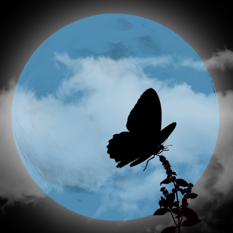 We Care...Butterfly #2 static token preview