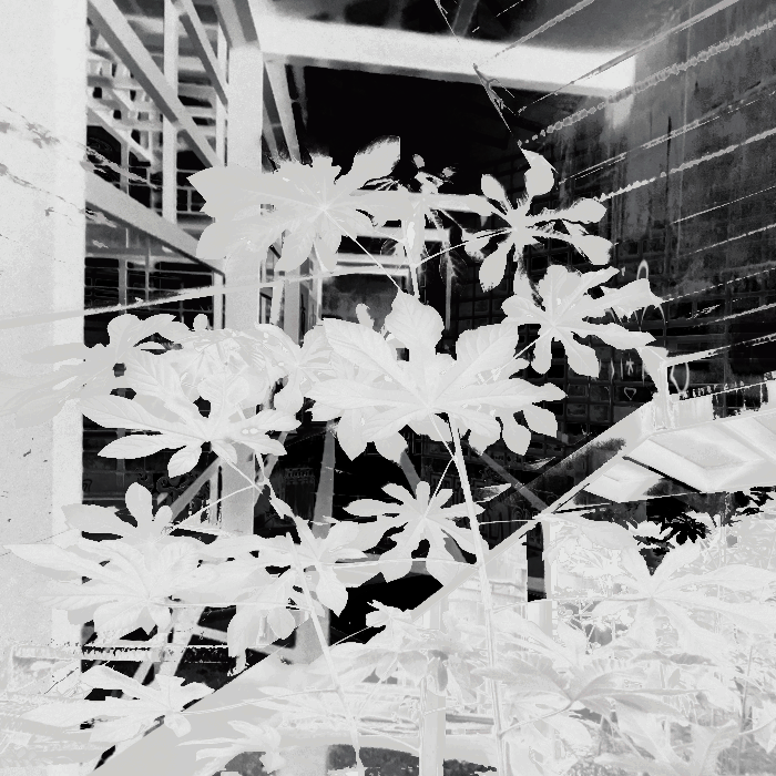 Ruins of Modernity #14 static token preview