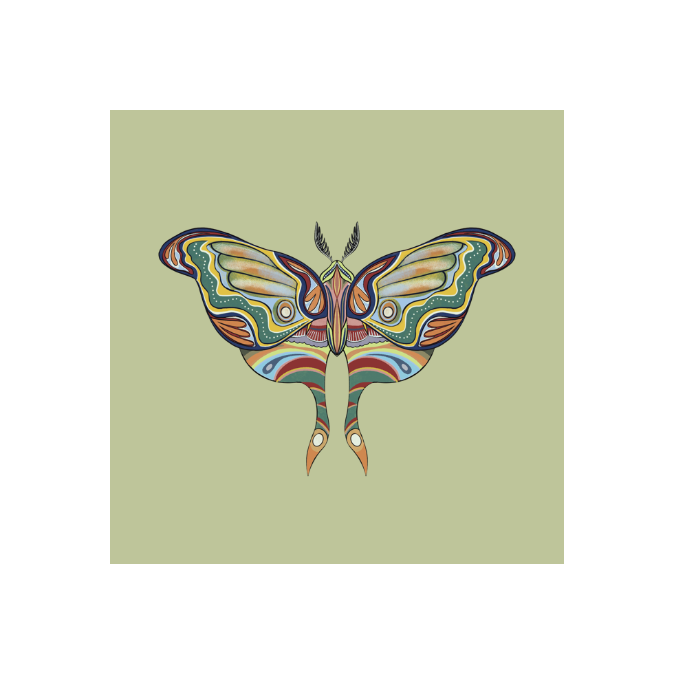 The Moth Experiment #6 static token preview