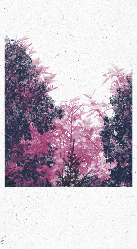 Life in the forest! #5 static token preview